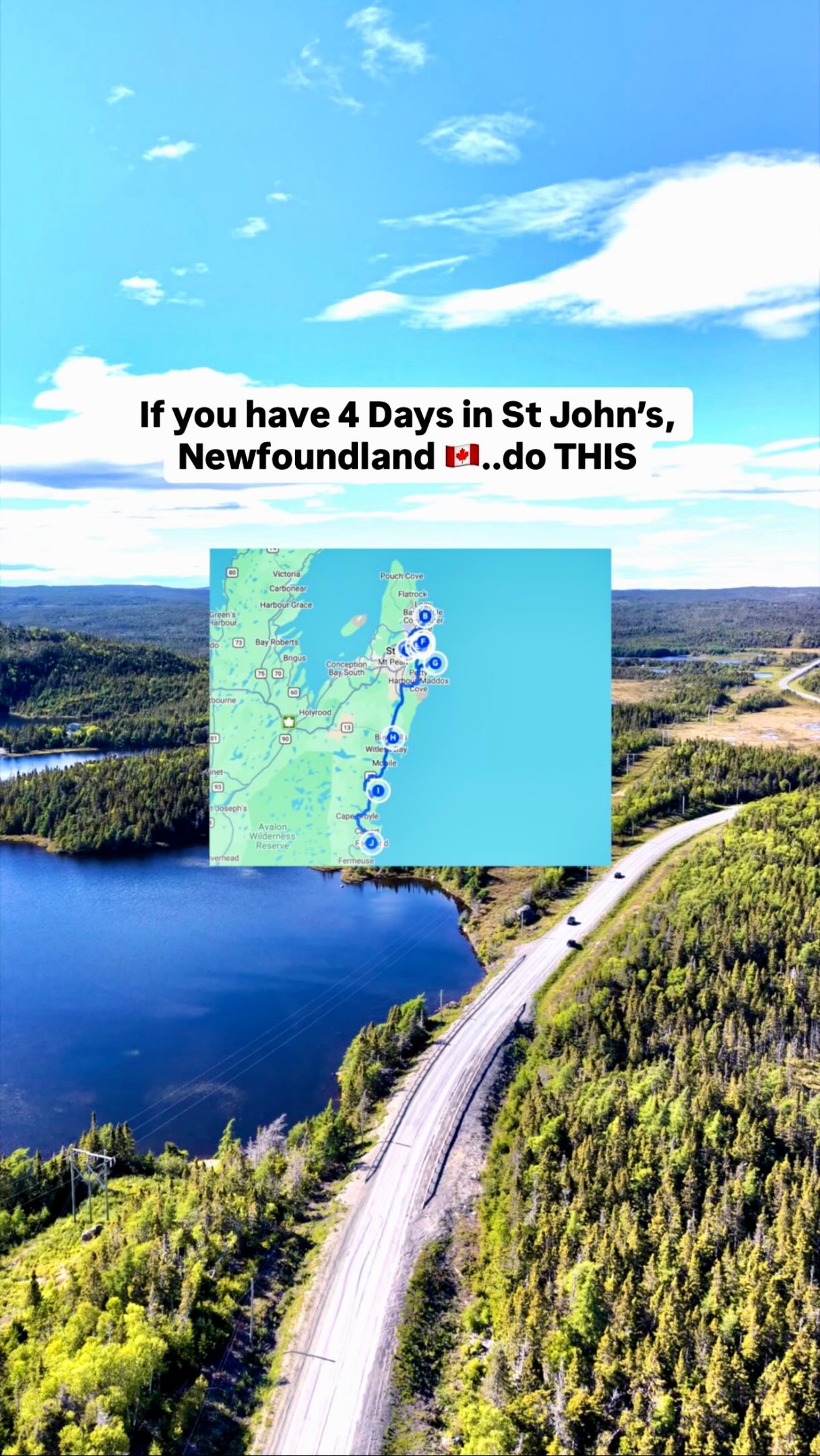 9 Places in St. John's