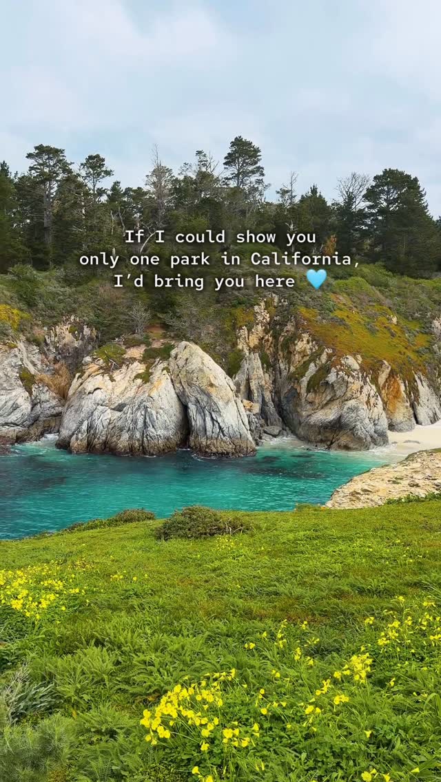 Point Lobos State Natural Reserve: Coastal Beauty