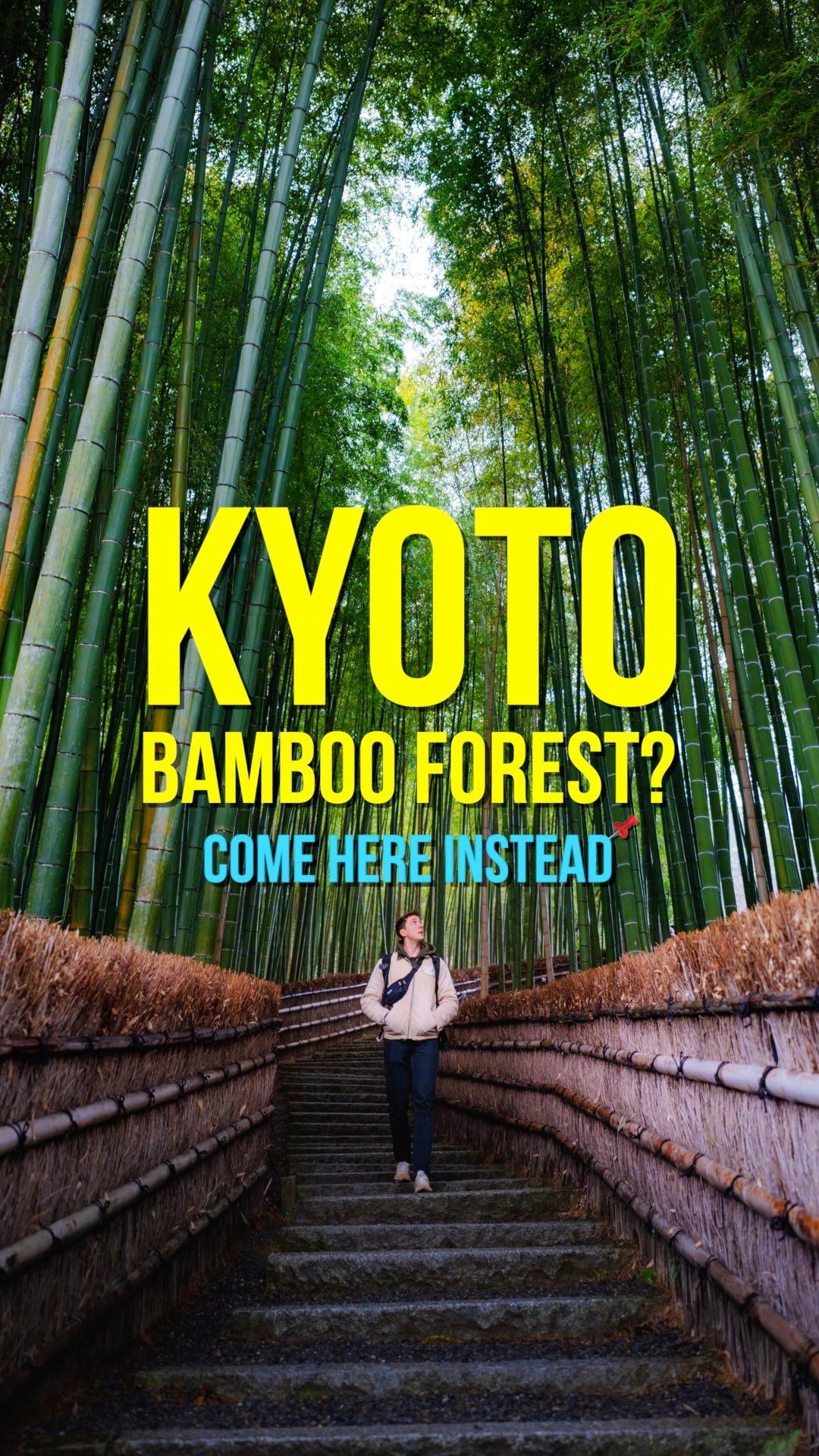 Kyoto Bamboo Forests and Unique Temples