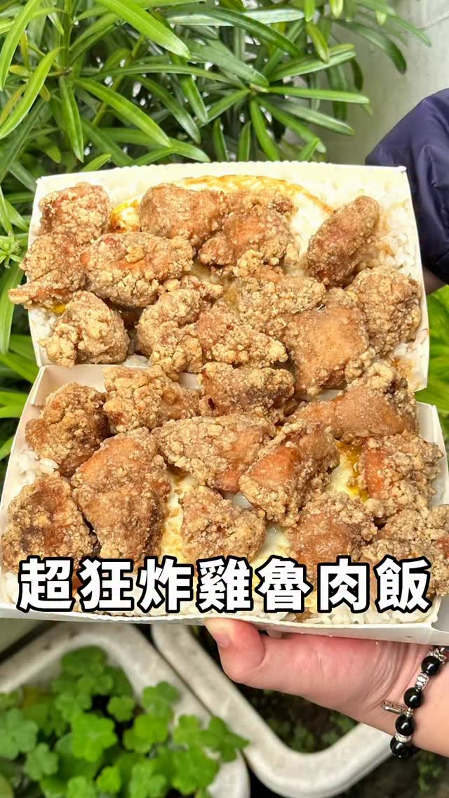 Giant Fried Chicken and Braised Pork Rice