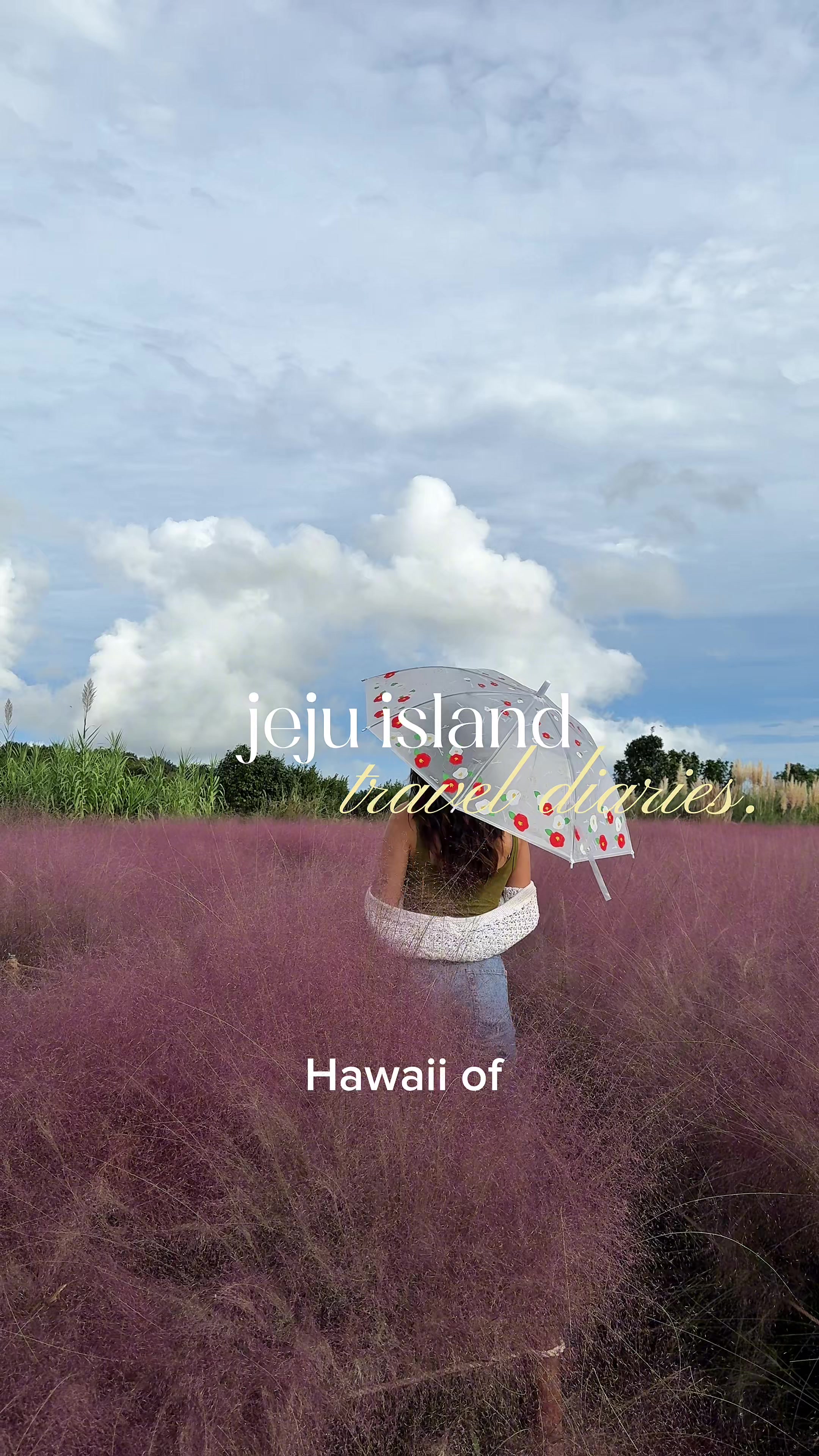 Jeju Island's Scenic Beaches and Gardens