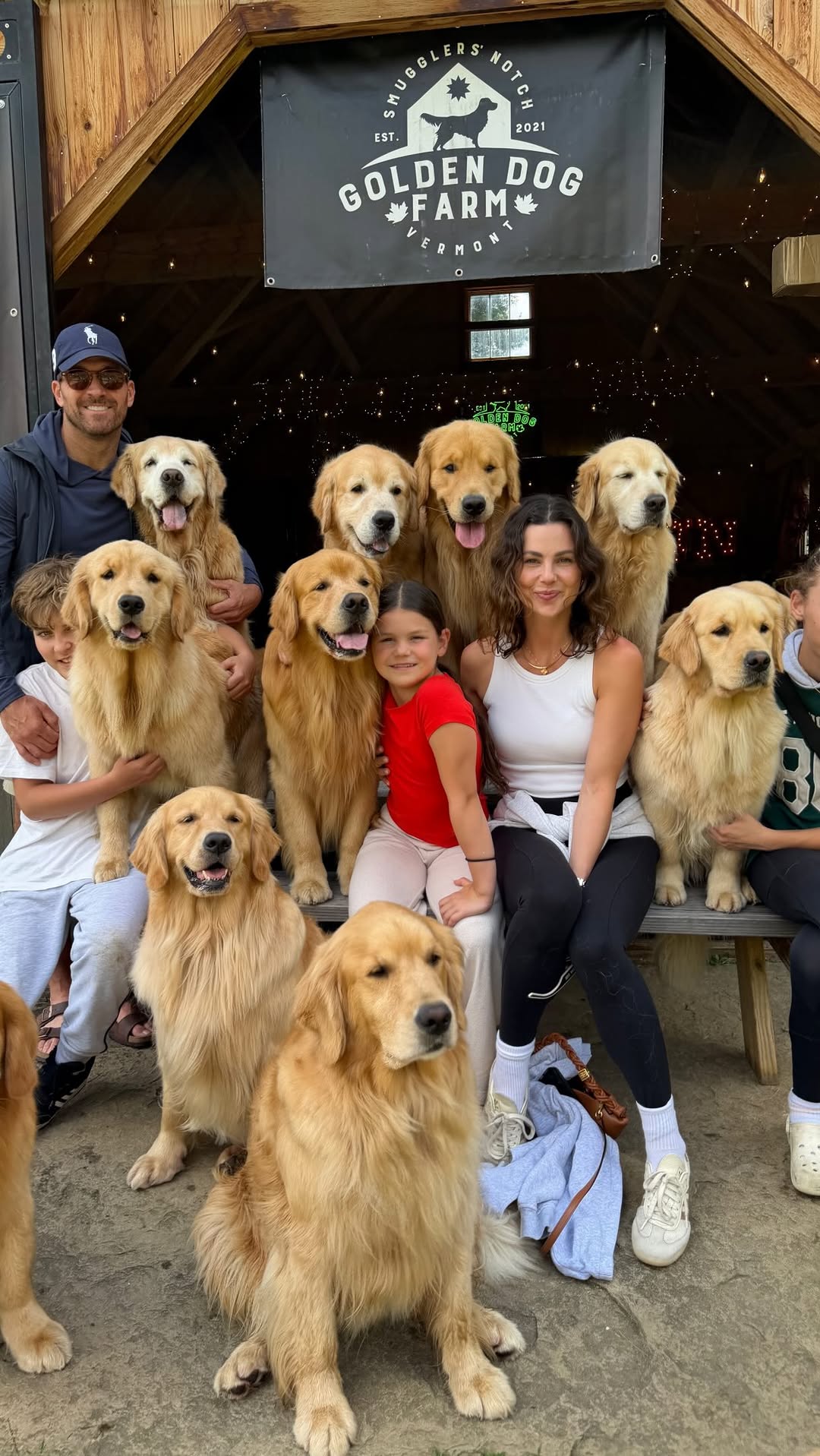 Vermont Farm Offers Unique Golden Retriever Encounters
