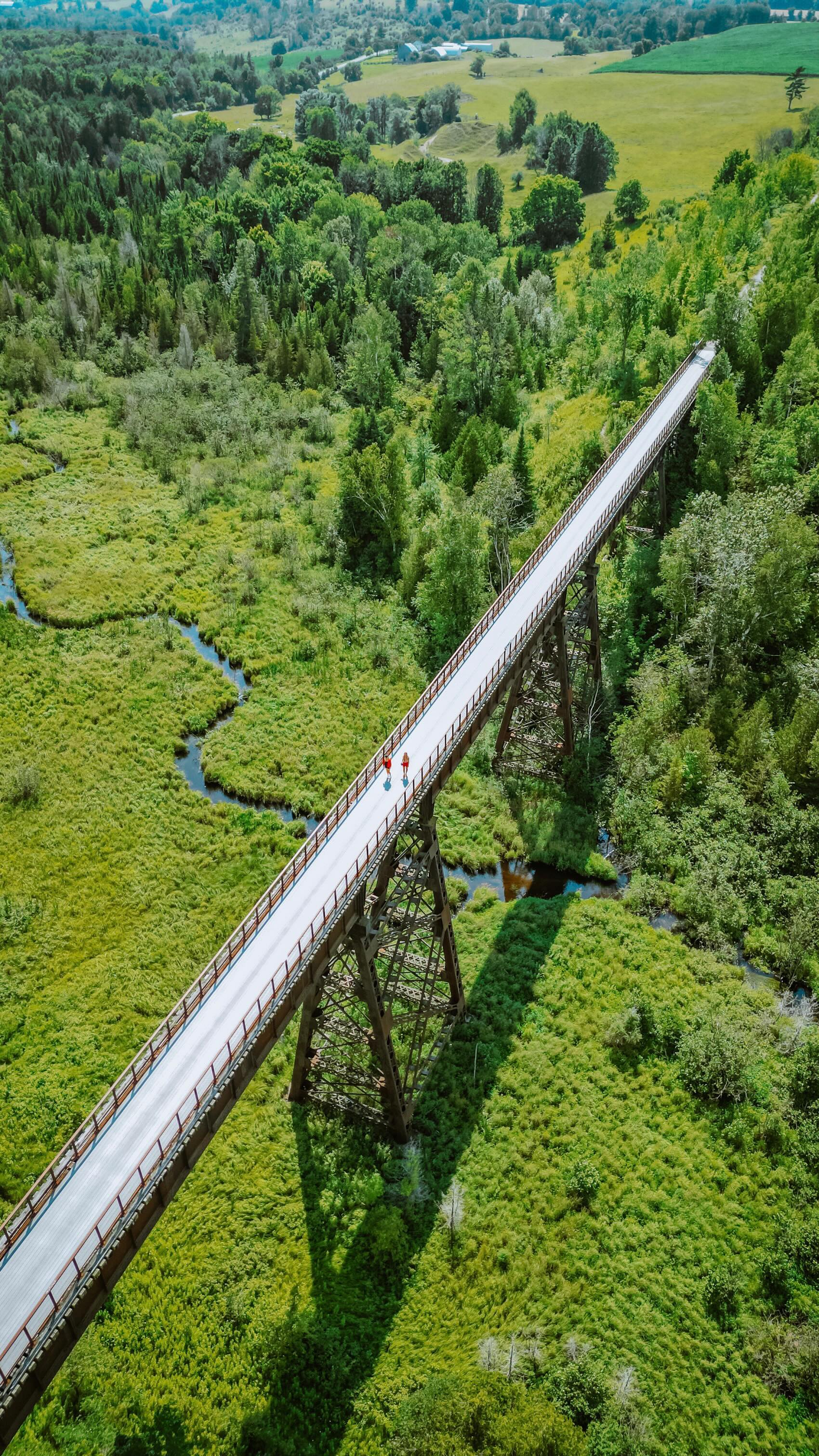 2 Hikes in Kawartha Lakes