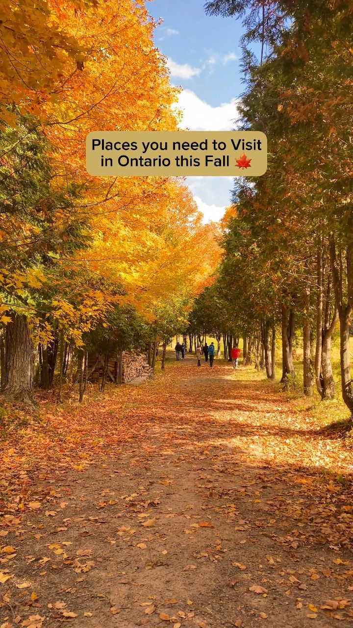 10 Parks in Ontario