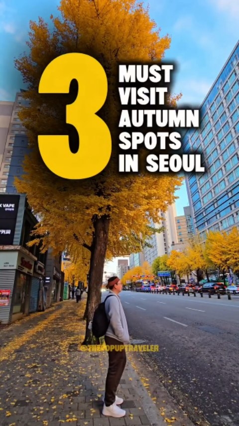 Seoul's Top Autumn Destinations