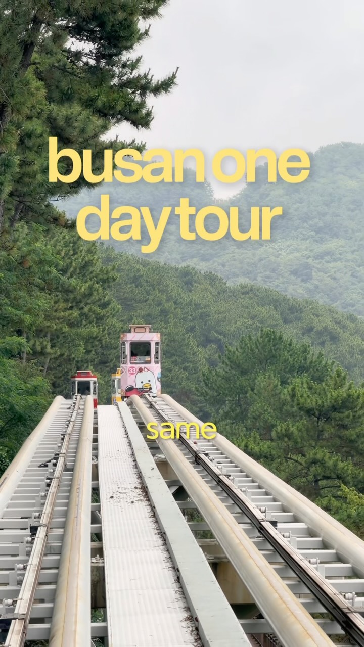 8 Attractions in Busan