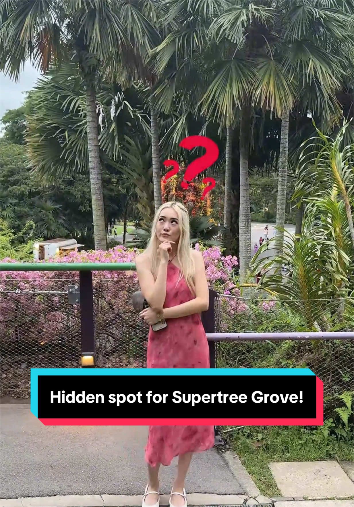 Capture Supertree Grove Photos Without Crowds