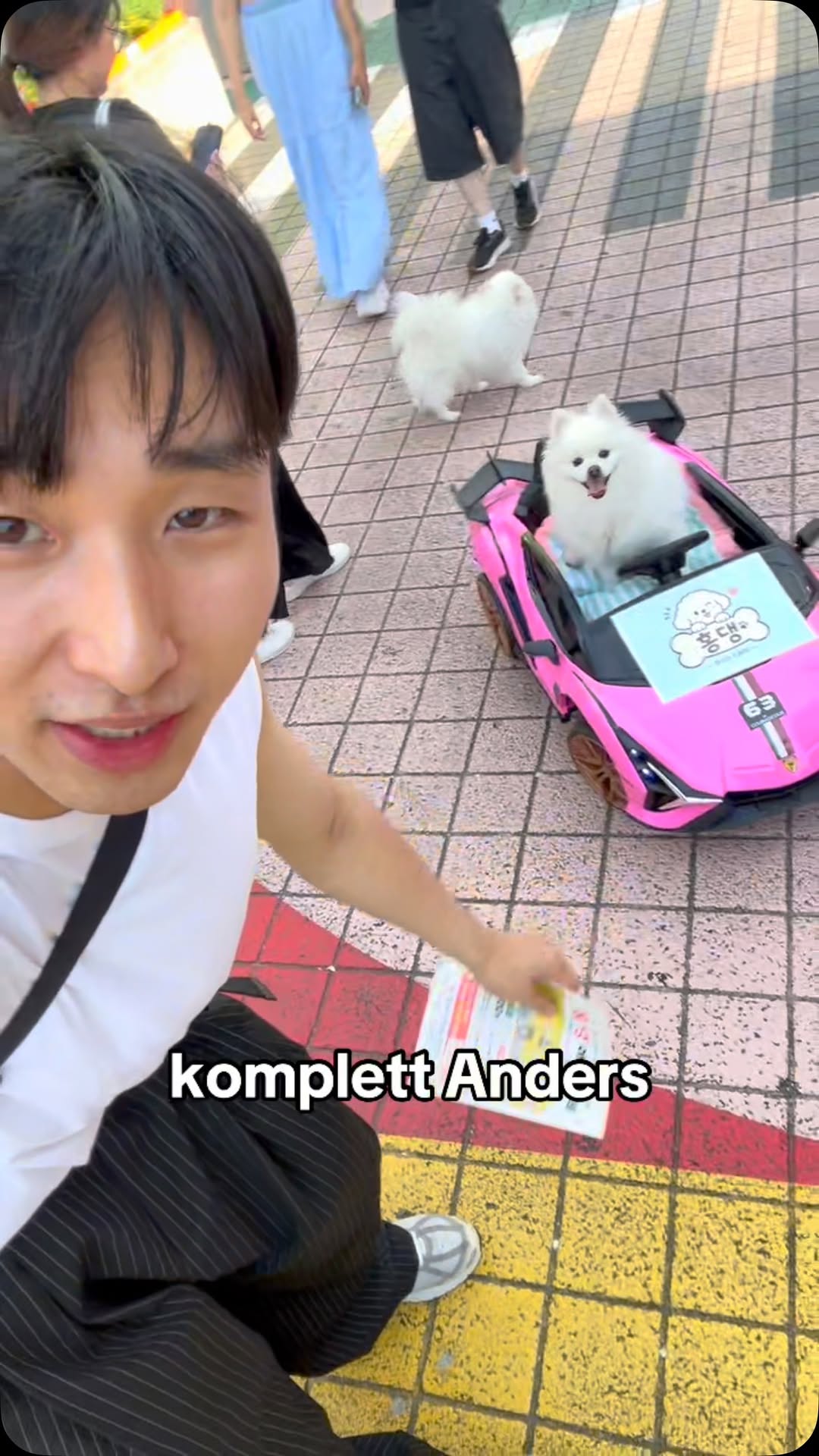 Sunny's Dog Cafe