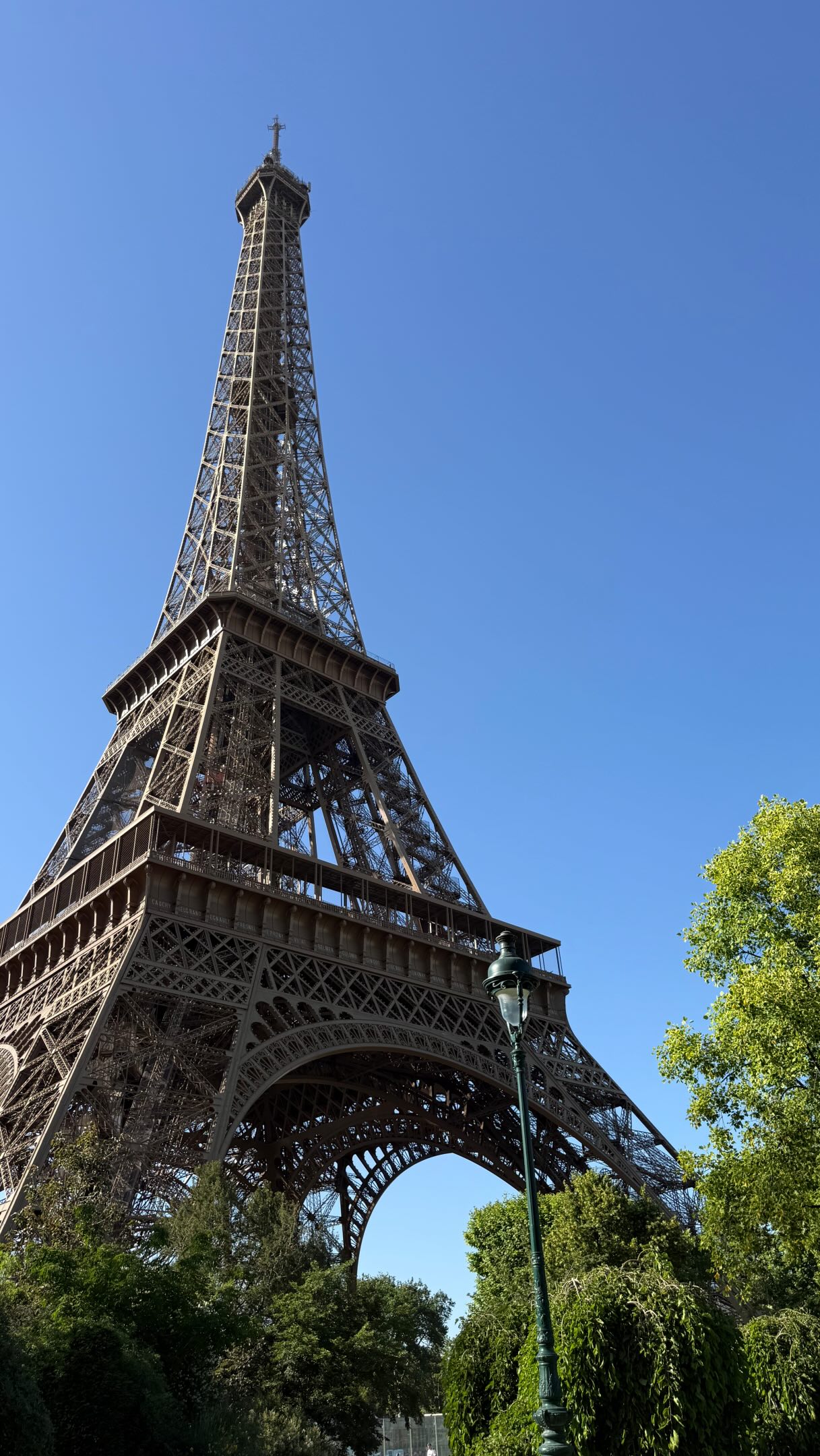 Parisian Landmarks: Iconic Tower and Gourmet Market