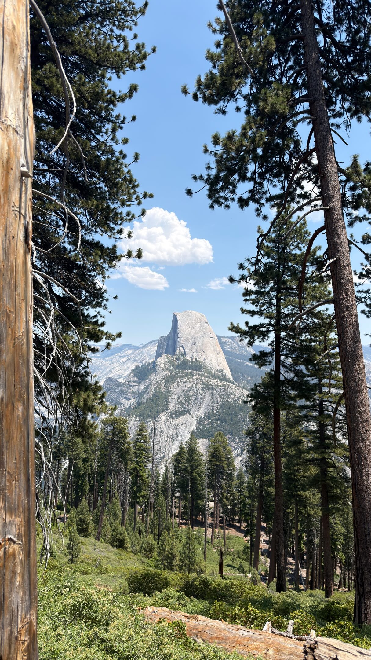8 Nature spots in California