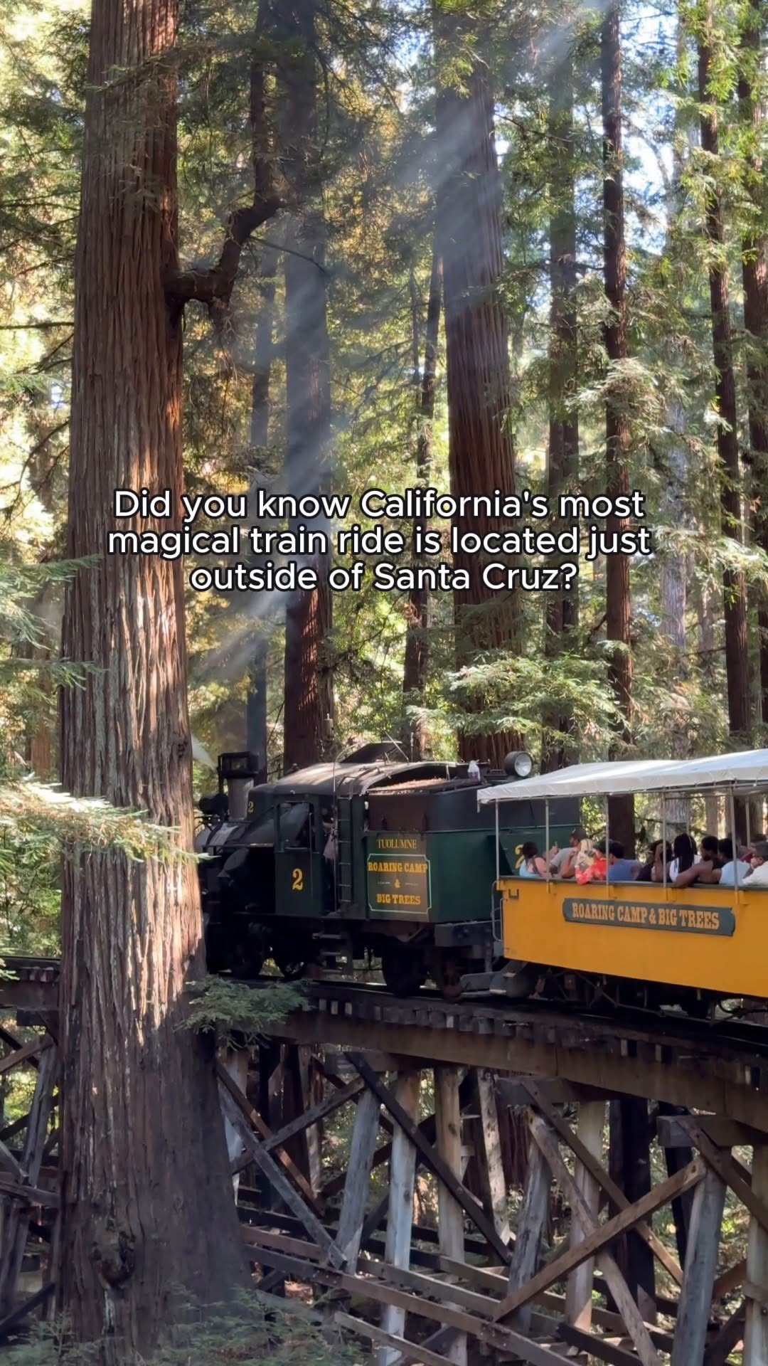 Coastal Redwoods Steam Train Rides to Bear Mountain