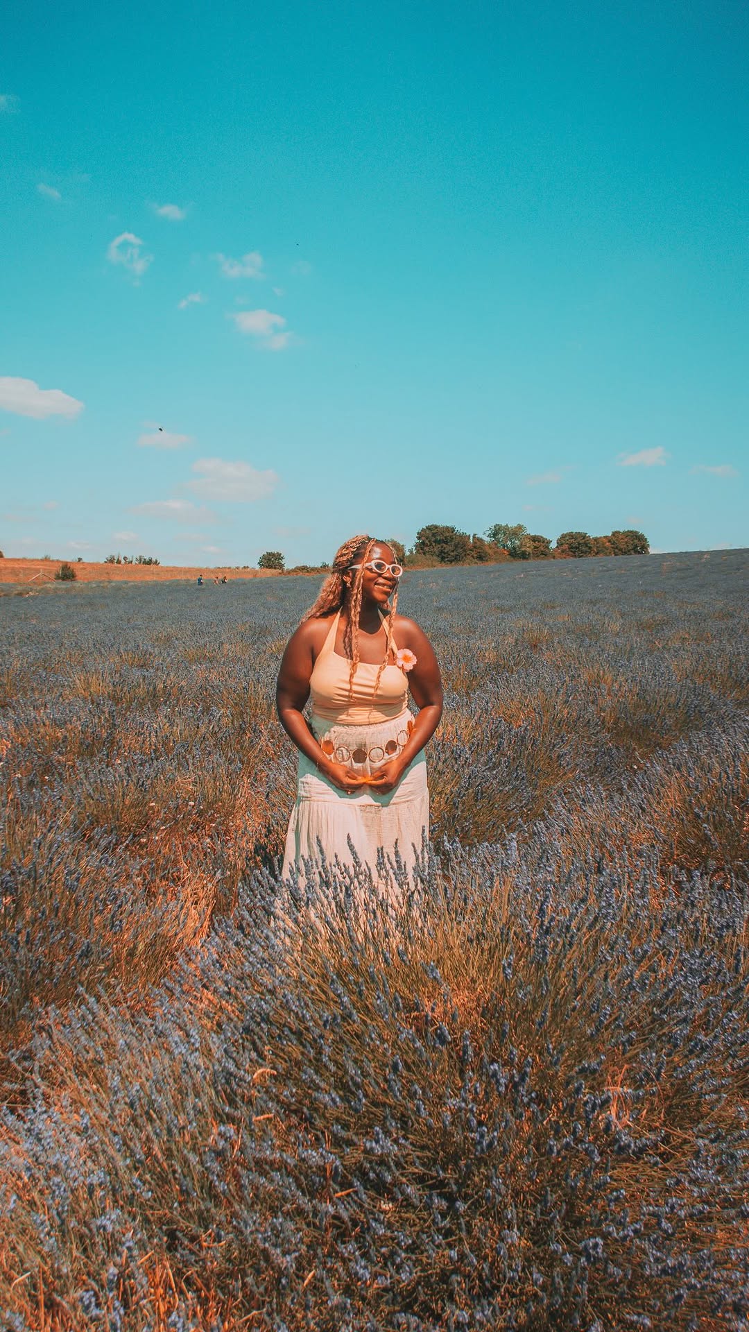 English Lavender Fields Near London
