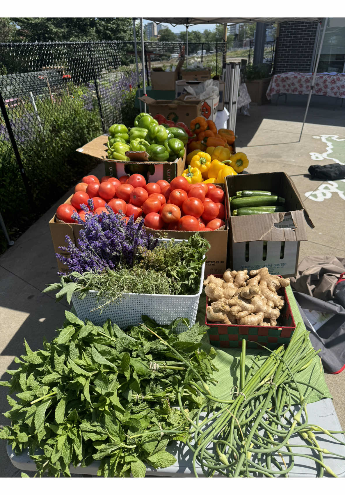 Hope Blooms Farmers Market $1 Produce Table