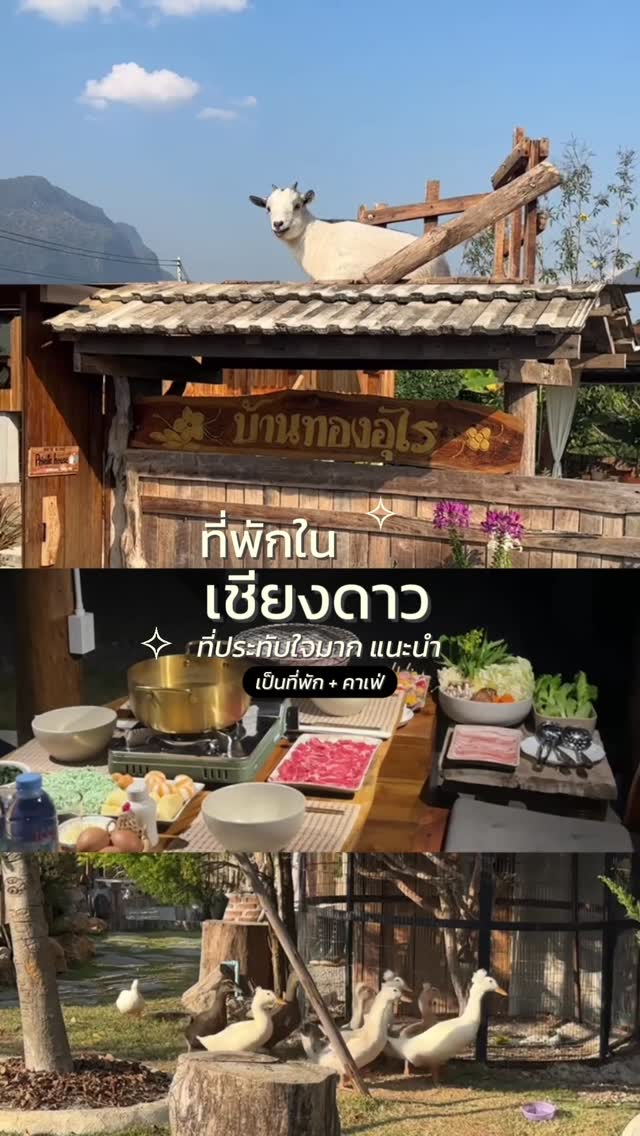 1 Cafes in Tambon Mueang Ngai
