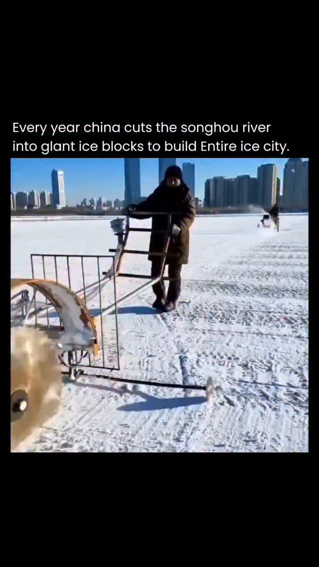Harbin Ice & Snow World: A Frozen Metropolis