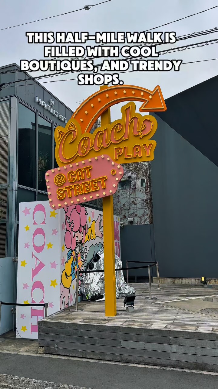 Harajuku and Shibuya Districts' Trendy Shopping Streets
