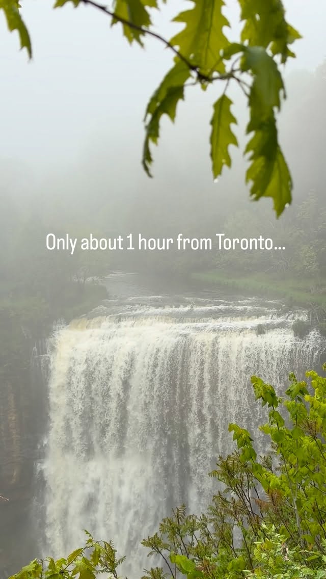 1 Nature spots in Hamilton