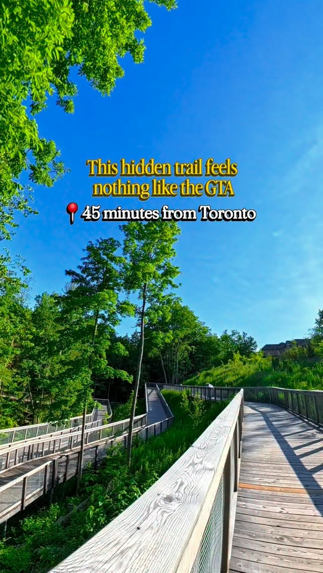 Toronto's Hidden Boardwalk Nature Escape