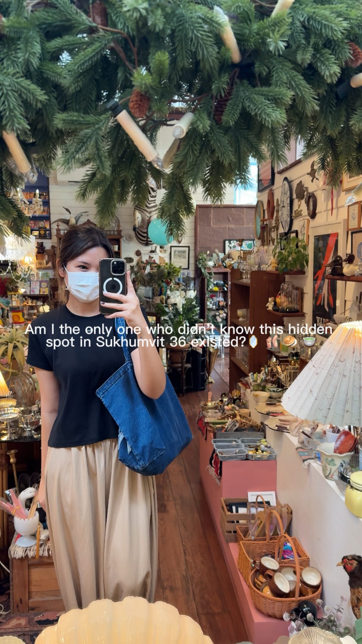 Bangkok's Dog-Friendly Cafe, Shop, and Ice Cream Spot