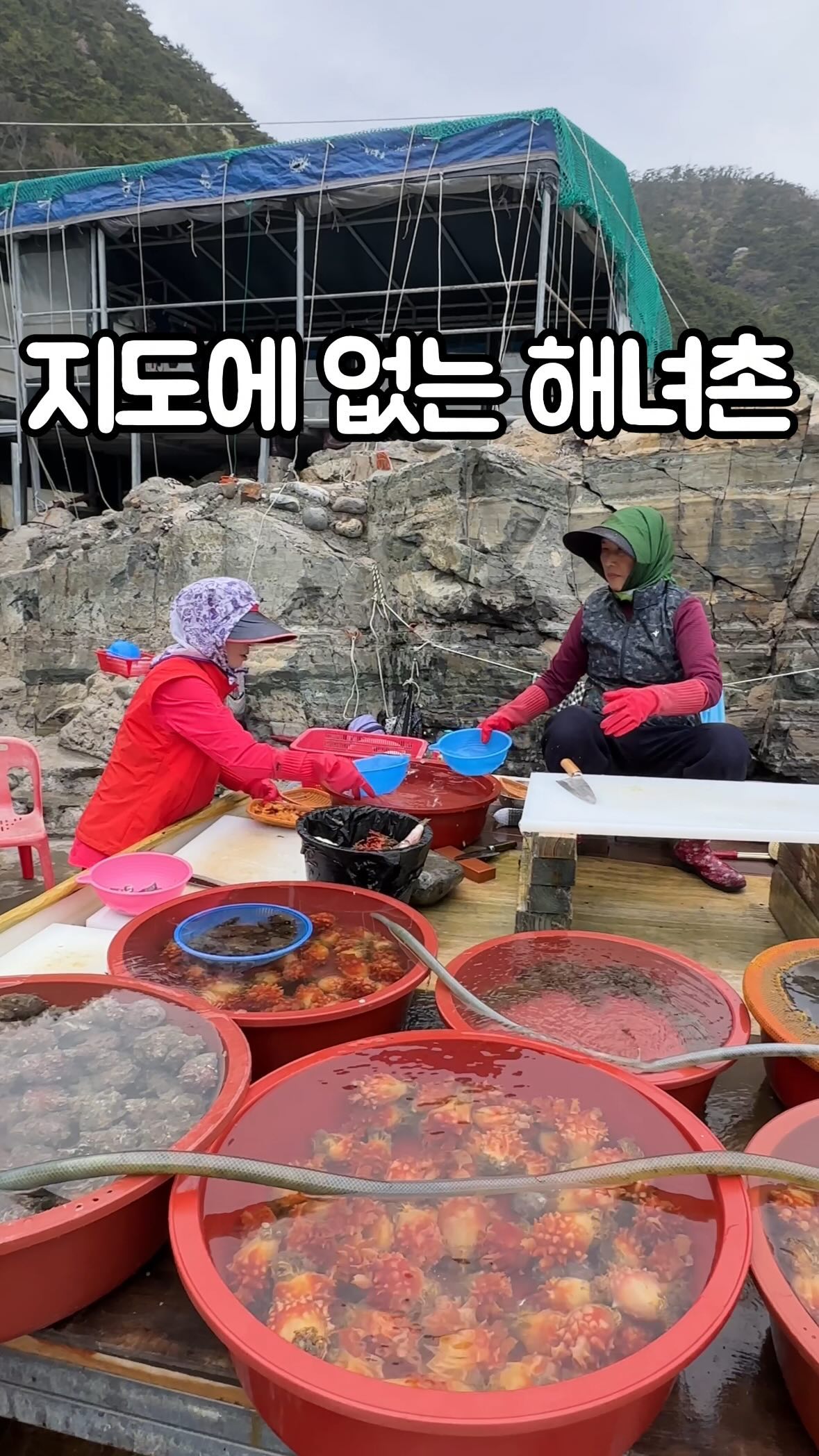 Haenyeochon: Busan's Authentic Haenyeo Seafood Experience