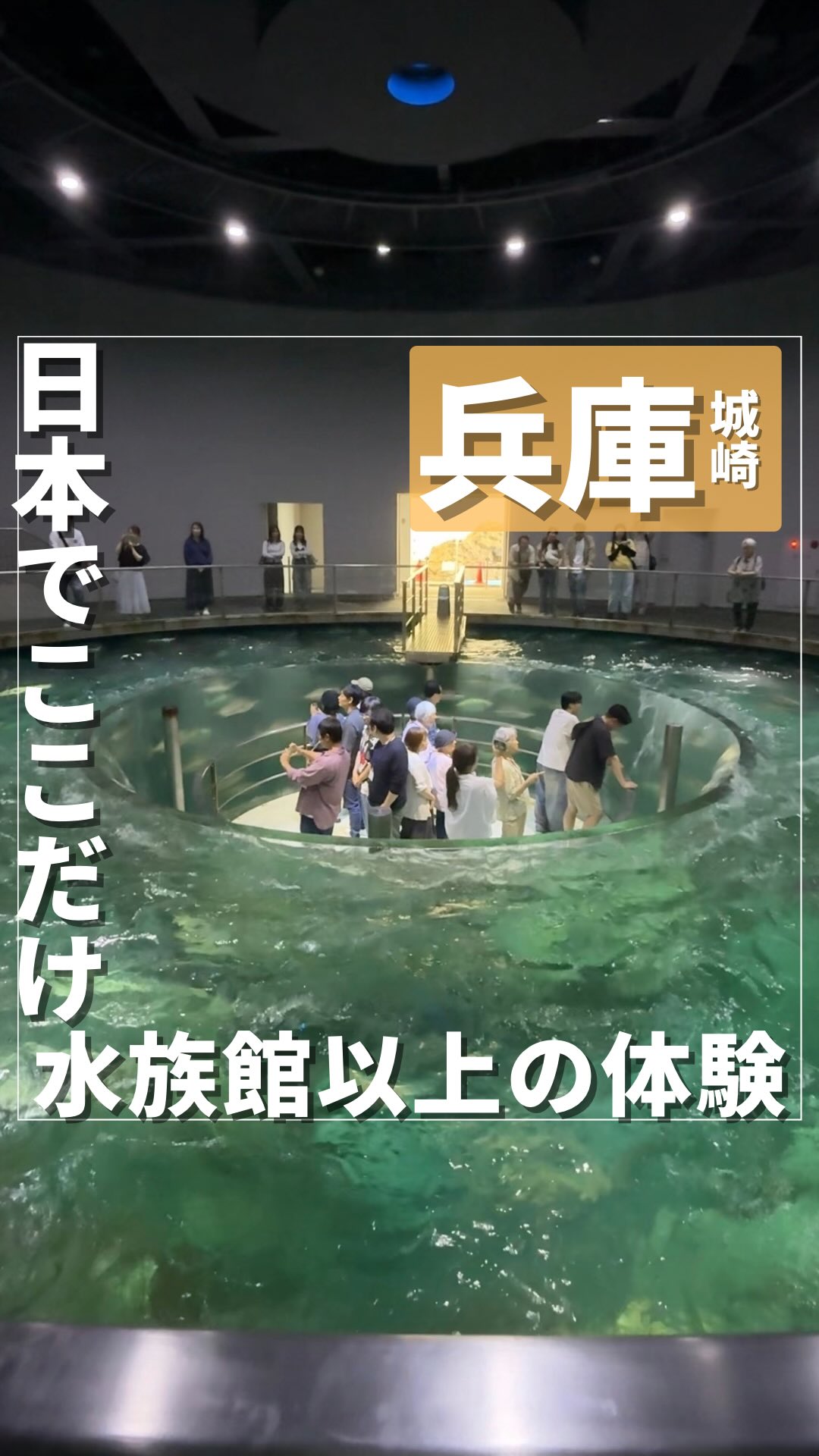 Kinosaki Marine World and Onsen Town Experiences
