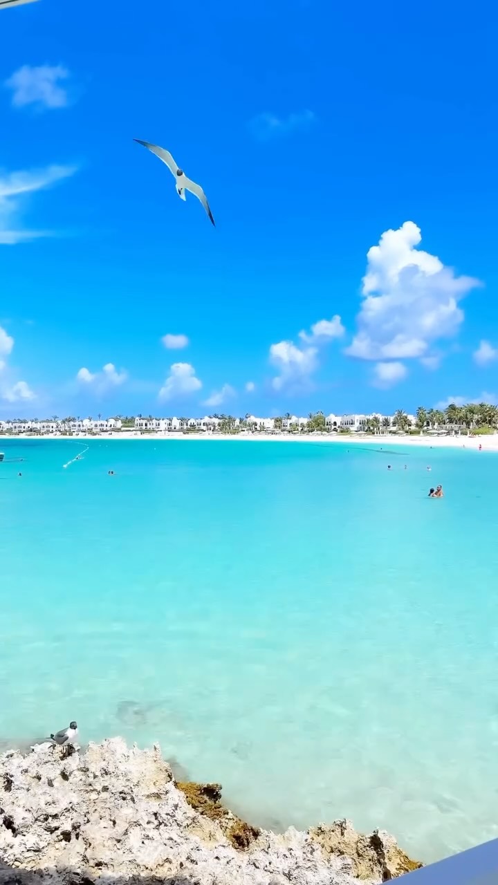 Caribbean's Top Beaches With Turquoise Waters