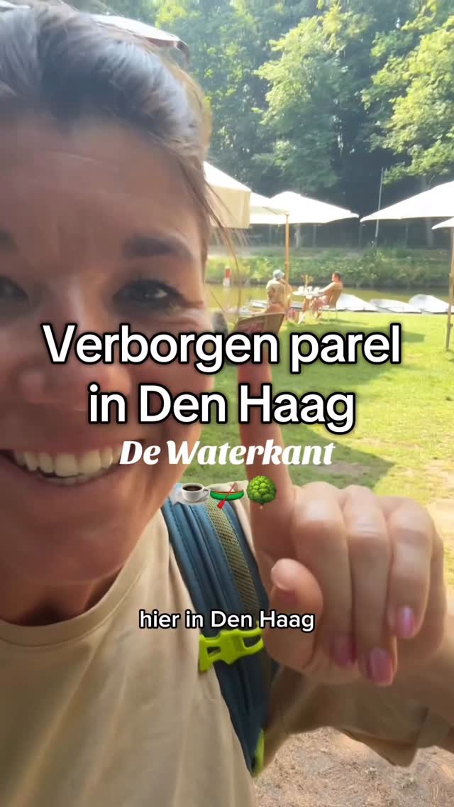 Waterfront Dining and Boat Rentals in The Hague