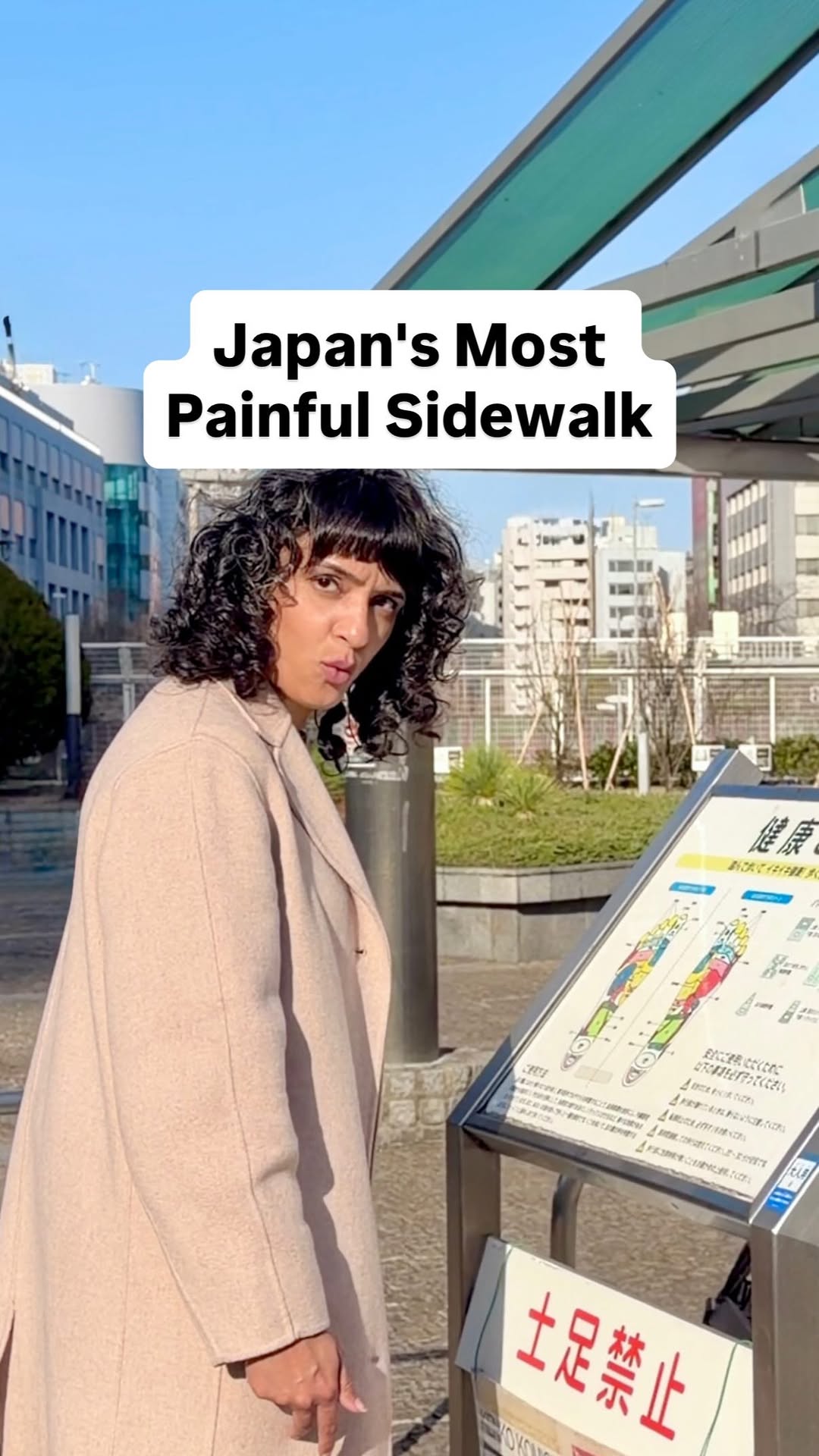 Health Path for Foot Reflexology in Tokyo Park