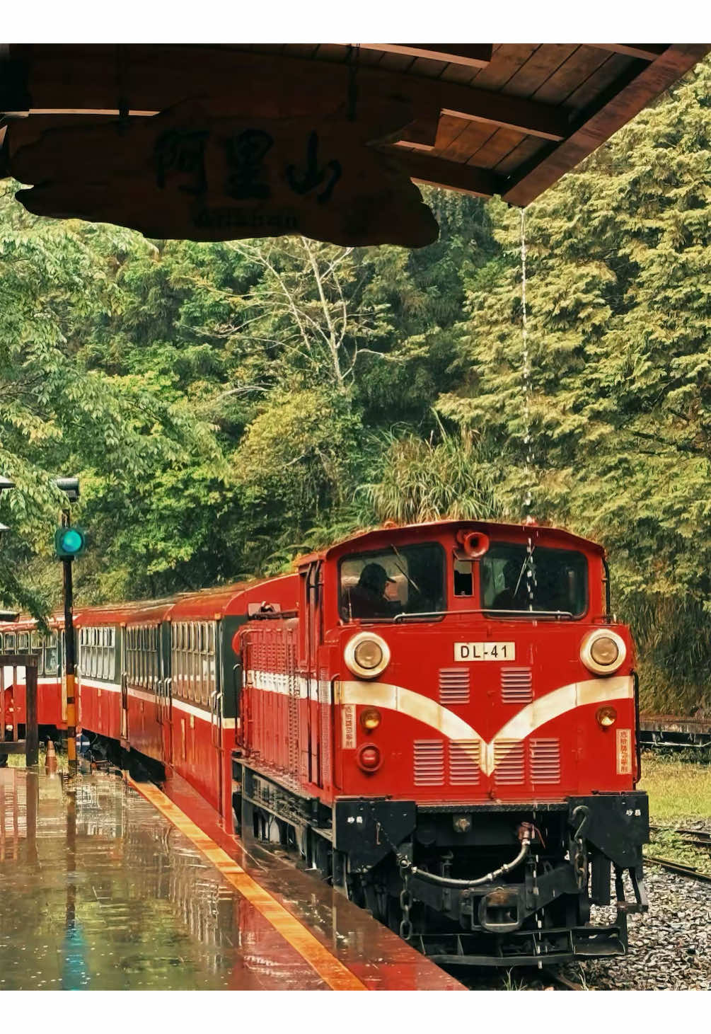 Alishan Forest Railway Garage Park Scenic Train Journey