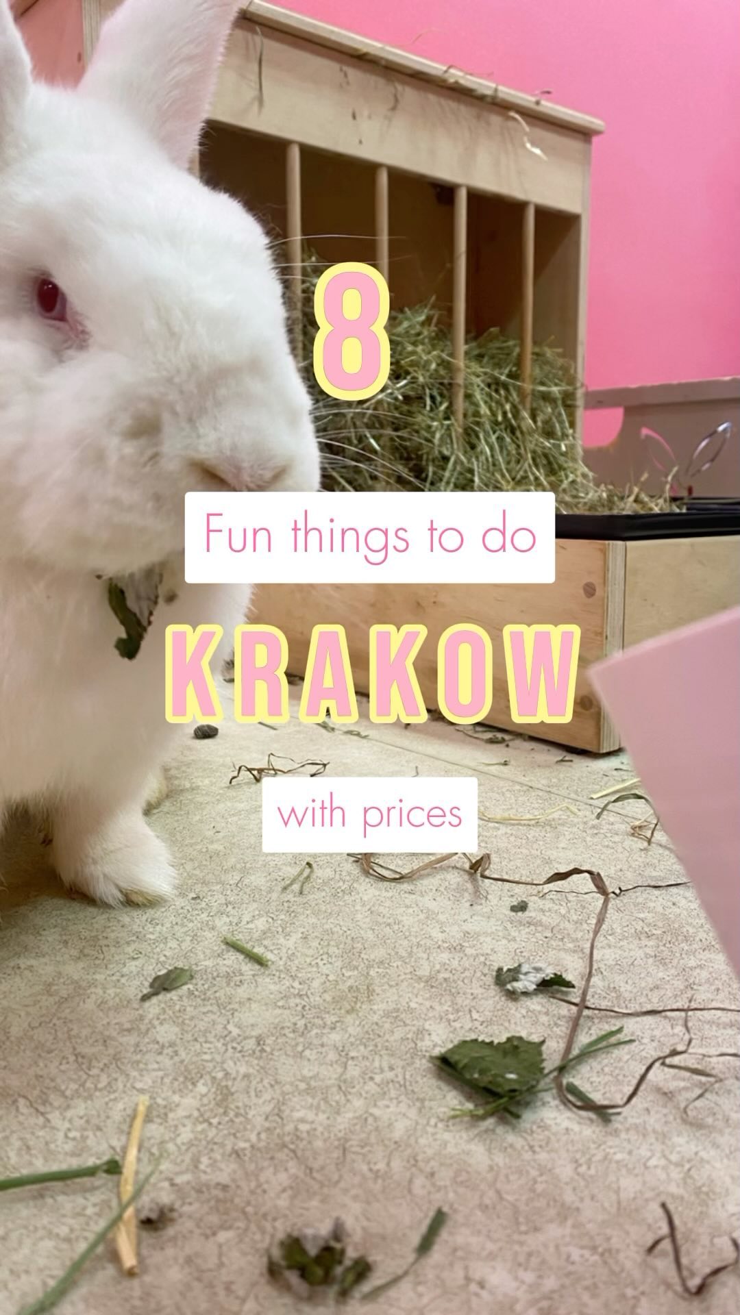 Krakow Attractions Offer Fun And Unique Experiences