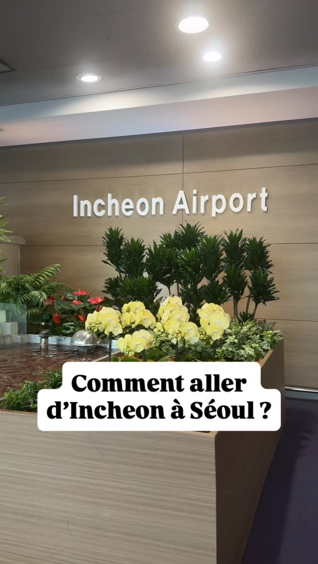 Navigating Incheon Airport and Hongdae with Luggage