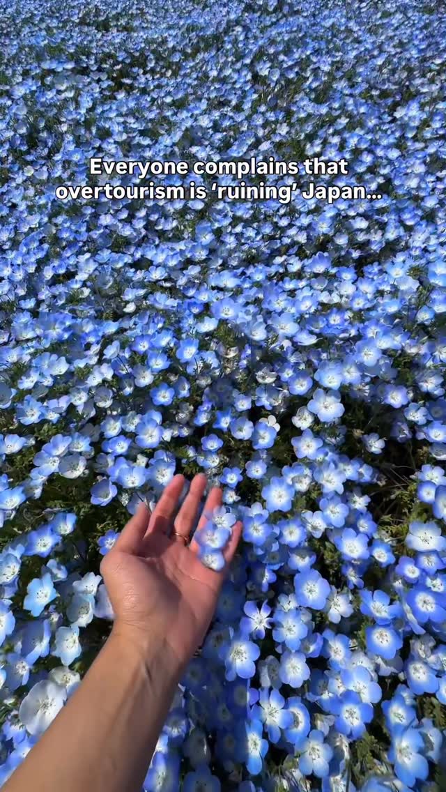 Underrated Japanese Day Trips Beyond the Tourist Trail