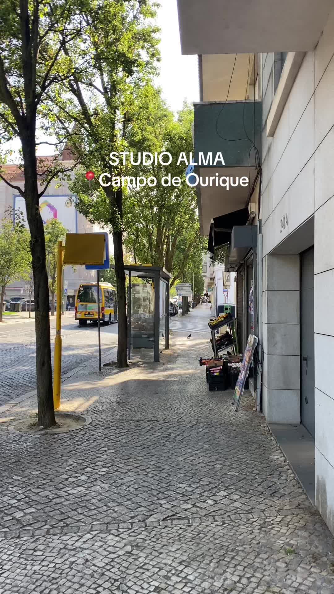 Studio Alma: Curly Hair Specialist in Lisbon