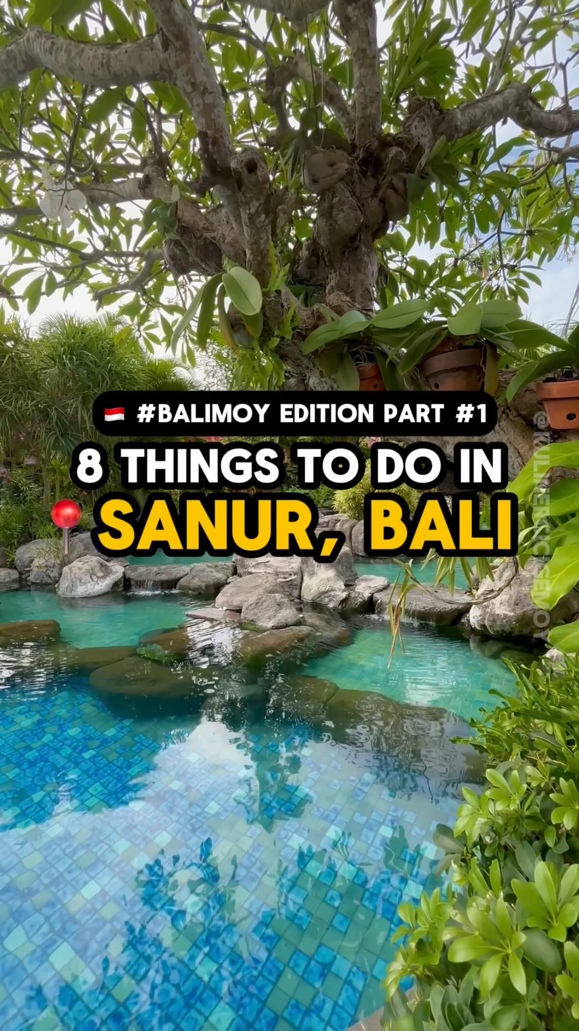 Sanur's Top Beachfront And Turtle Conservation Spots