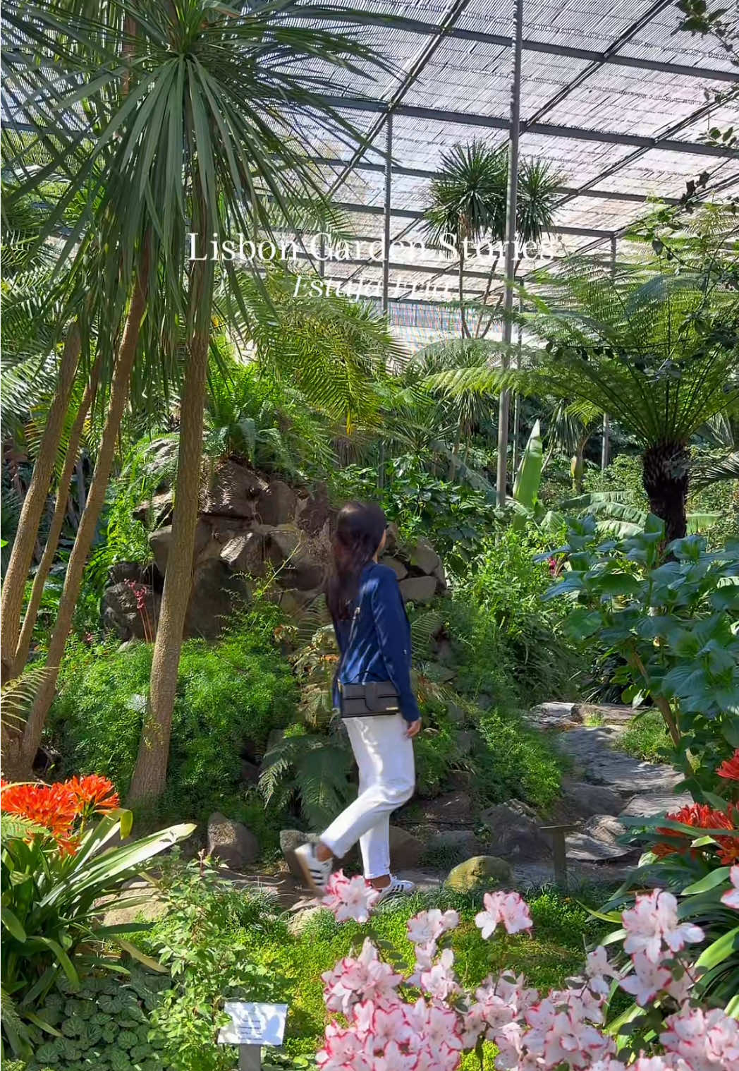 Lisbon's Green Oasis: Estufa Fria and Eduardo VII Park