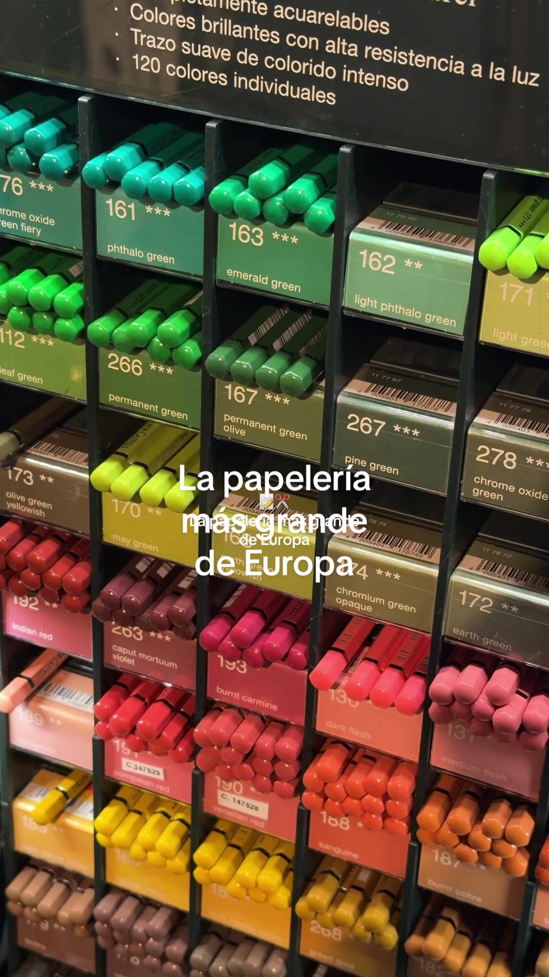 Raima: Europe's Largest Stationery Store