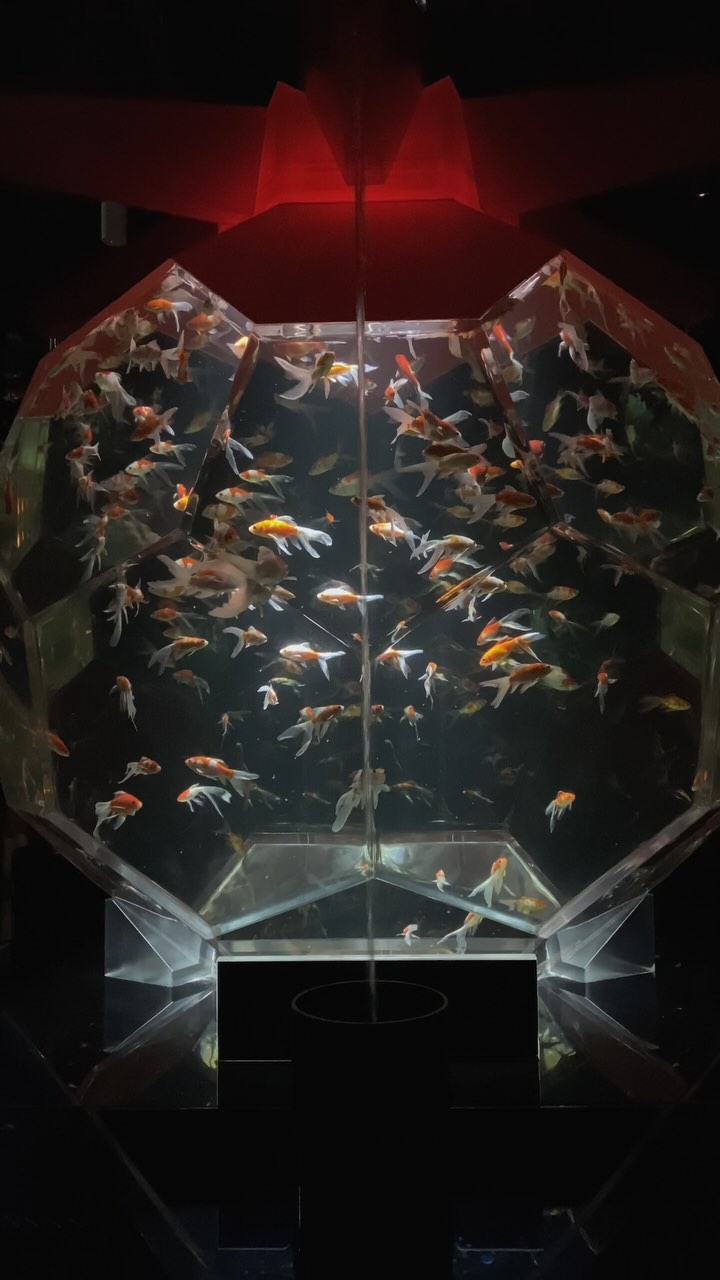 Ginza Station Art Aquarium Museum