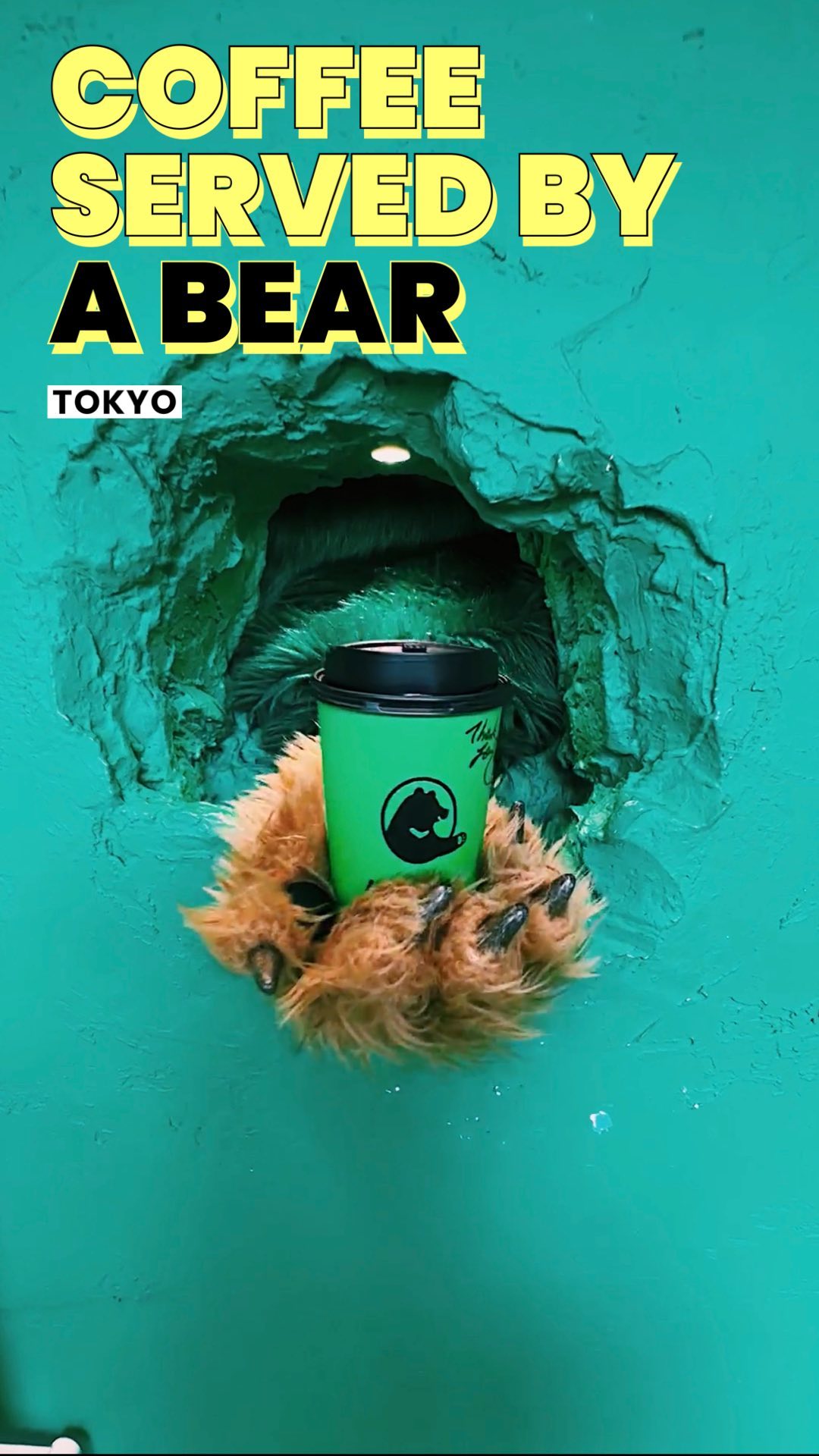 Harajuku Cafe Features Cute Bear Theme