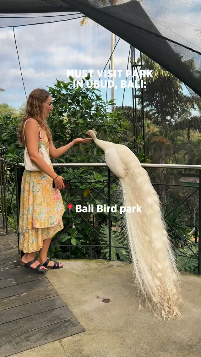 Bali Bird Park's Best Attractions
