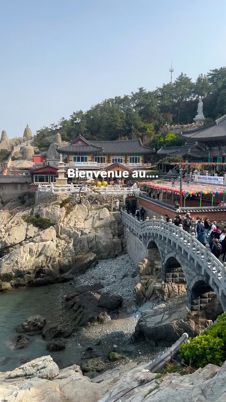 Busan's Magnificent Seaside Dragon Palace Temple