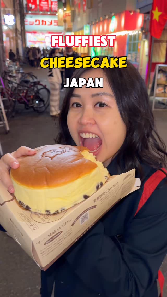 Rikuro’s Fluffy Japanese Cheesecake
