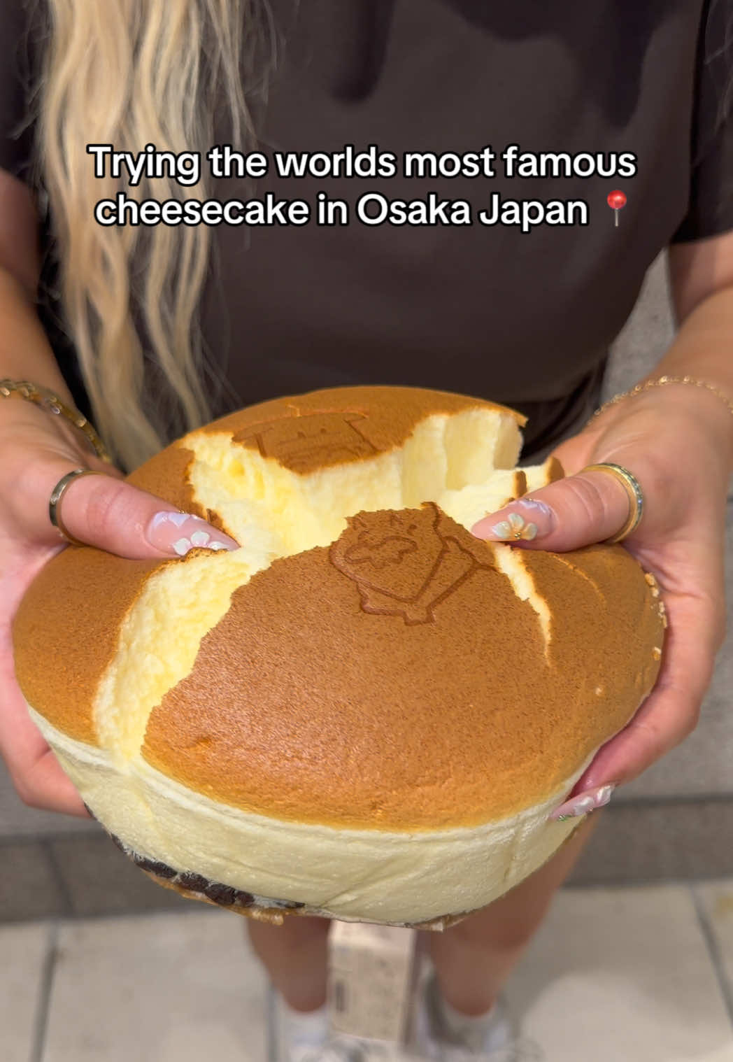 Osaka's Famous Fluffy Baked Cheesecake
