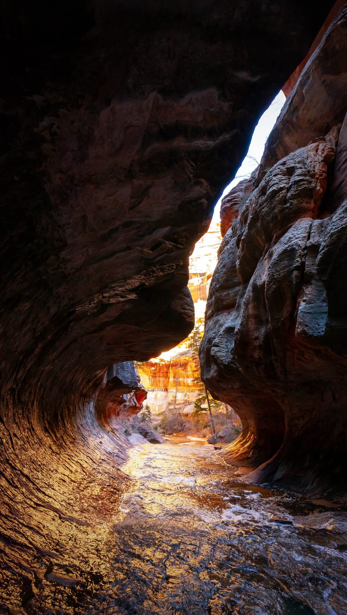 Zion National Park and The Subway Hikes