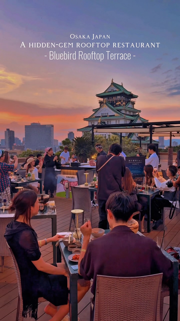 Osaka Castle Views From Rooftop BBQ