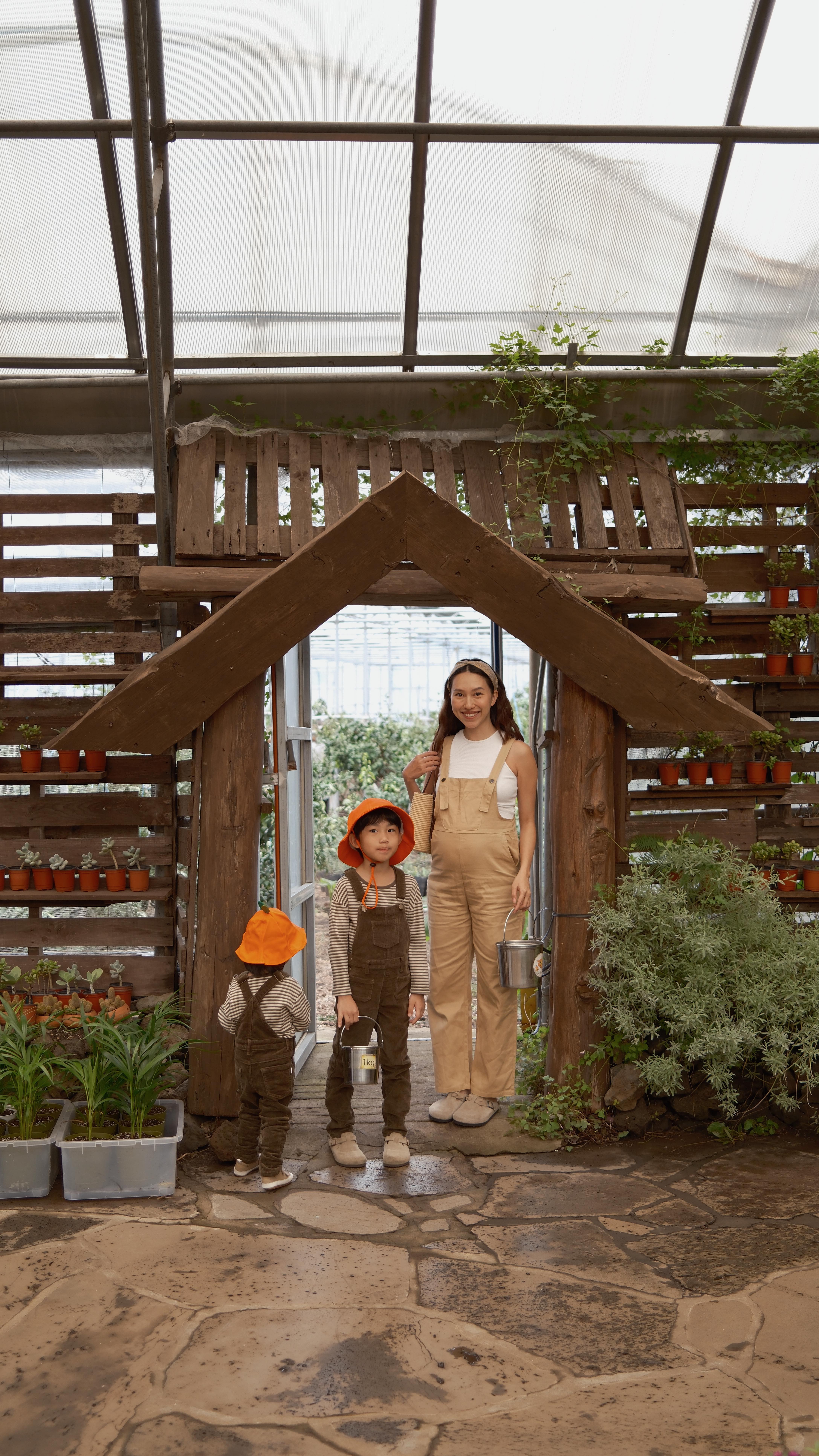 Jeju Island Family Fun: Tangerine Farm and Hotel Stay