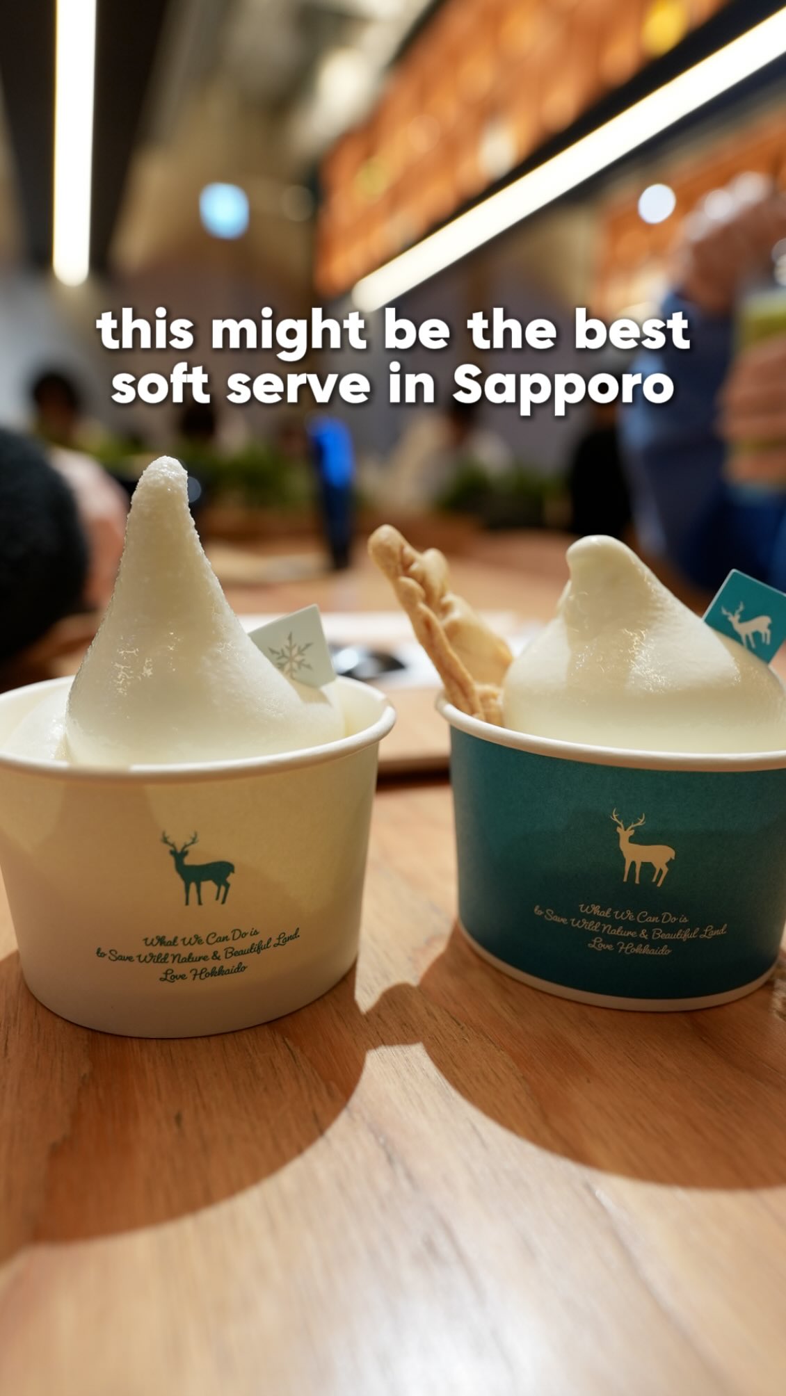 Hokkaido Milk Soft Serve In Sapporo