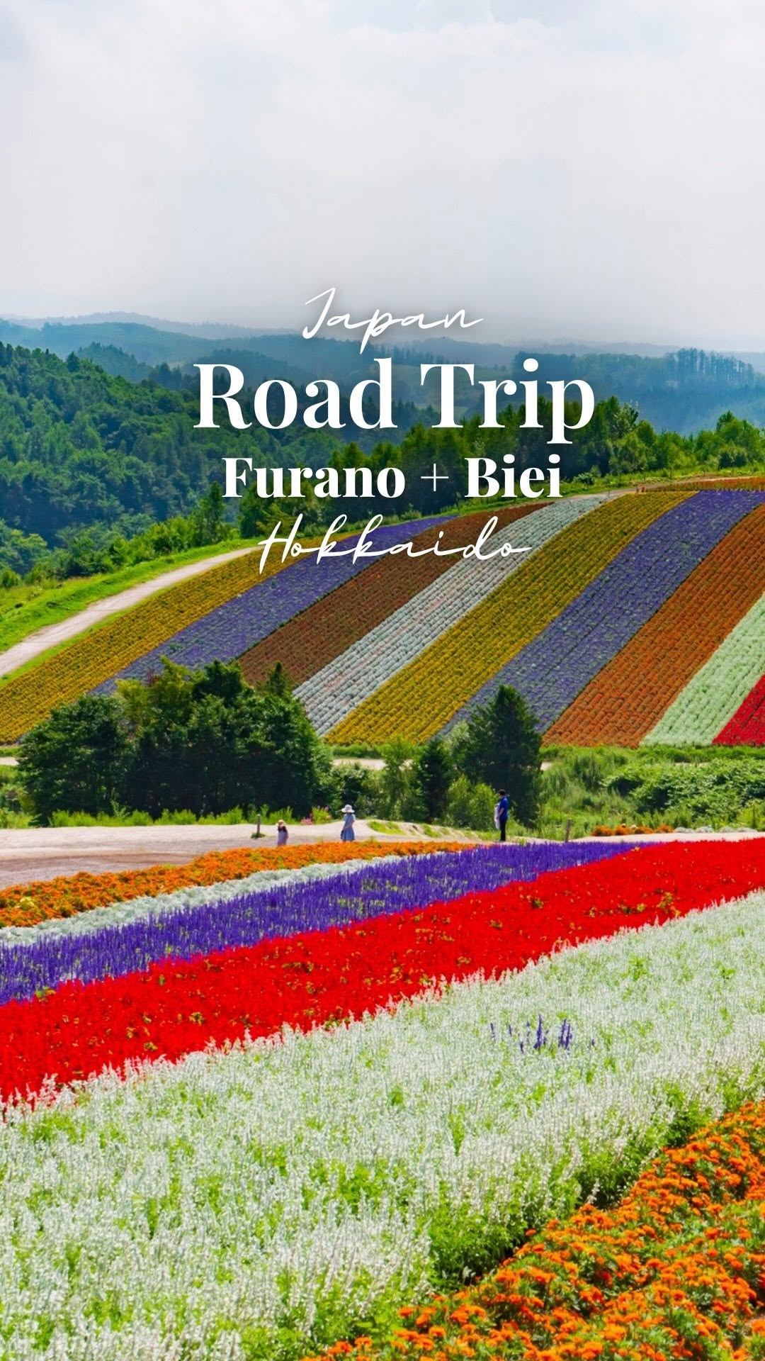 Hokkaido's Furano and Biei: Flowers, Farms, and Falls