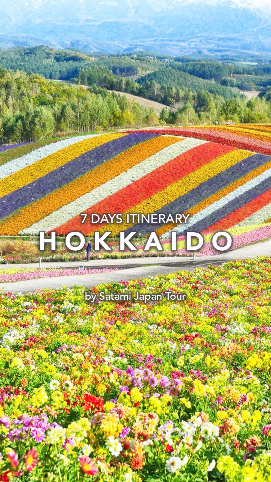 Hokkaido Summer Trip: Gardens, Ponds, and Sky Terraces
