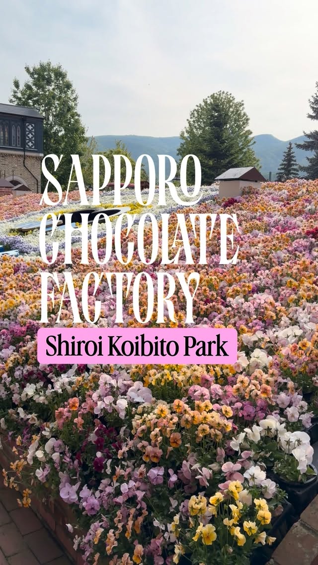 Shiroi Koibito Park: European Charm and Chocolate Delights