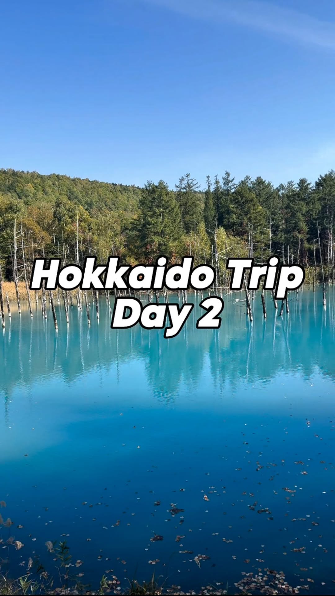 Hokkaido's Second Day: Nature, Food, and Local Charm